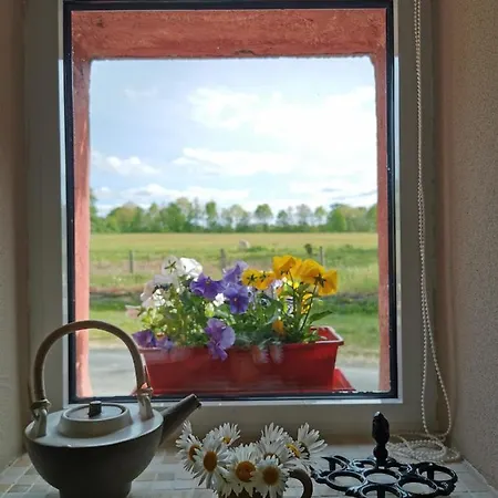 Gite A La Campagne Conquereuil Buitenkant foto